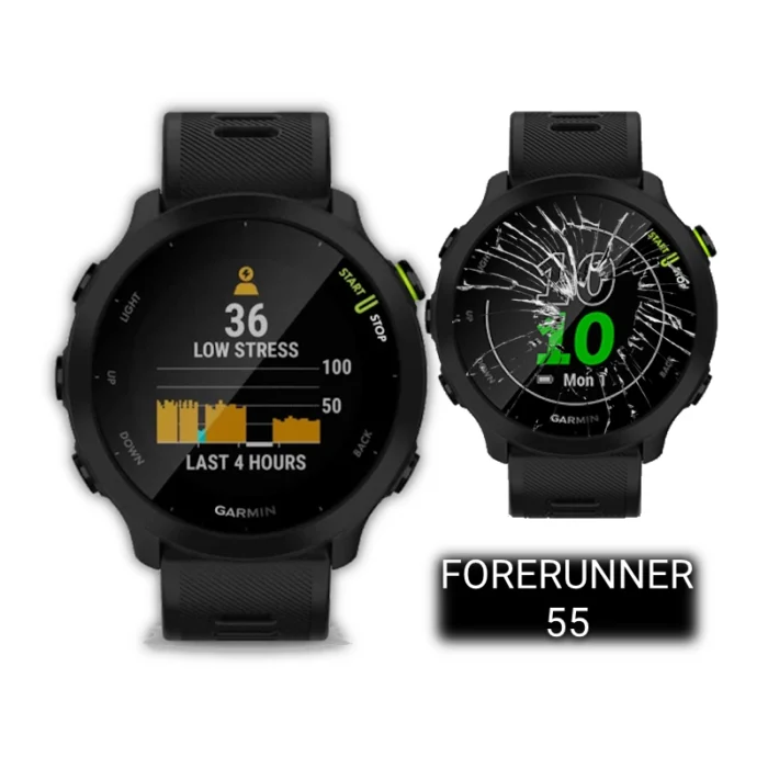 FORERUNNER 55