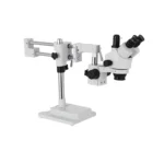 microscopio